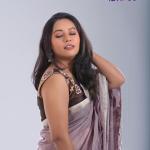 Ice cream Saree